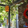Отель Xi'an Baishiyunju Homestay (Qinling Wildlife Park Branch), фото 23