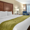 Отель Comfort Inn and Suites Albuquerque Downtown, фото 24