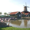 Отель Zonnig Zuid, фото 13
