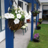 Отель Hokitika - Blue Spur Bed and Breakfast, фото 14