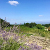 Отель Villa with 8 Bedrooms in Bonnieux, with Wonderful Mountain View, Private Pool, Furnished Garden, фото 25