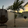 Отель Brand New Immaculate 3-bed Villa in Grote Berg, фото 2
