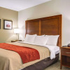 Отель Comfort Inn & Suites Clemson - University Area, фото 28