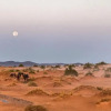 Отель Tassili Luxury Desert Camp, фото 14