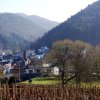 Отель Relaxen im alten Winzerhaus Fewo EG, фото 10