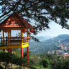 Отель Mae Salong Resort, фото 10