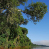 Отель Yacutinga Lodge, фото 11
