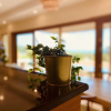 Отель Wild Cottages Luxury and Natural - Adults Only, фото 13