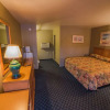 Отель Deluxe Inn, фото 4