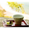 Отель Atagawa Onsen Suiko, фото 8