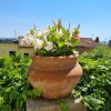 Отель La Terrazza, Elegant Tuscan Stone House With Garden and Terrace in Cetona, фото 28