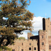 Отель Peckforton Castle, фото 26