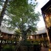 Отель Cresta Mowana Safari Resort & Spa в Касане