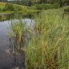 Отель Zajazd Nad Stawem, фото 26