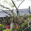 Отель Qiu's Inn, фото 3