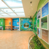 Отель Holiday Inn Alpensia Pyeongchang Suites, an IHG Hotel, фото 16