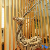 Отель Lishui falls in love with Nujiang Boutique Inn, фото 3