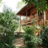 Отель Mutu Village treehouse tourist board approved bungalow, фото 11