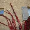 Отель La Couleur des Vignes, фото 1
