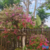 Отель Xiangyishu Resort Villa, фото 9