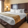 Отель Comfort Suites Lawton Near Fort Sill, фото 6