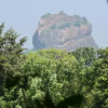 Отель Sigiri Sarilco Rock View Treehouse, фото 31