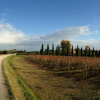Отель Via Della Stella - Inh 29074, фото 2
