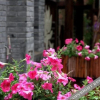 Отель Huaxinong Villa Hotel, фото 6