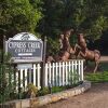 Отель Cypress Creek Cottages, фото 22