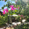 Отель WangWang B&B, фото 19