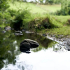 Отель Little River Glamping, фото 15