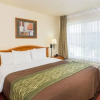 Отель Comfort Inn, фото 21