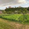 Отель Household Nikolic - Andrijevica, Montenegro, фото 14