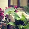 Отель La Posada, фото 23