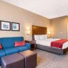 Отель Comfort Inn Lathrop - Stockton Airport, фото 50