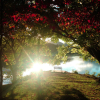 Отель Lambuth Inn at Lake Junaluska, фото 4