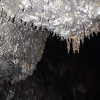 Отель Aloha Crater Lodge and Lava Tube, фото 29