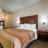 Отель Quality Inn & Suites near NAS Fallon, фото 32