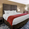 Отель Quality Inn & Suites, фото 3
