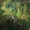 Отель Raptors Wildlife Escapes, фото 32