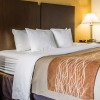 Отель Comfort Inn Jonesville, фото 14