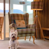 Отель Loch Rannoch Highland Club Studio 2, фото 13