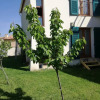 Отель House With 3 Bedrooms In Sorède, Terrace With Wonderful Mountain View And Wifi - 13 Km From The Beac, фото 15