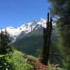 Отель Sarazena Saas-grund in Saas-grund, фото 8