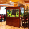 Отель Meatsa Hotel, фото 23