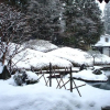 Отель Koyasan Onsen Fukuchiin, фото 19