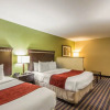Отель Comfort Suites East / I-44, фото 3