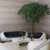 Отель yunman Hotel, фото 8
