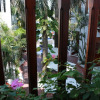 Отель Palenque Casa Hotel By HMC, фото 14