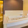Отель Comfort Inn Altavista – Lynchburg South, фото 9
